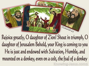 Zechariah 9:9 Behold Your King Is Coming (beige)