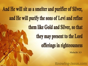 Malachi 3:3 He Will Purify Them Like God And Silver (yellow)