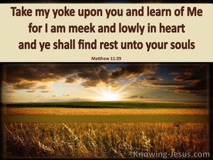 Matthew 11:29 Take My Yoke Upon You (brown)