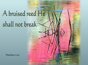 Isaiah 42:3 A Bruised Reed He Shall Not Break (green)