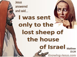 Matthew 15:24 The Lost Sheep Of The House Of Israel (beige)