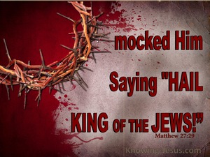 Matthew 27:29 They Twisted Together A Crown Of Thorns (red)