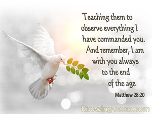 Matthew 28:20 teaching them to observe all that I commanded you; and lo ...