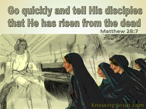 Matthew 28:7 He Has Risen From The Dead (sage)