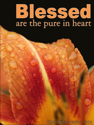 Matthew 5:8 Pure In Heart (devotional)04-07 (orange)