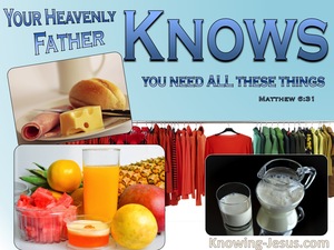 Matthew 6:31 Your Father Knows (blue)