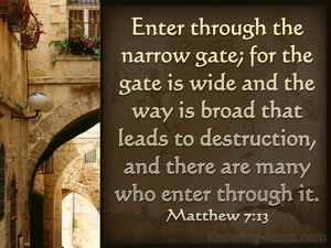 Matthew 7:13 Wide Is The Gate To Destruction (brown)