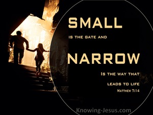 Matthew 7:14 The Gate Is Small And The Way Is Narrow  (orange)