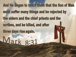 Mark 8:31The Son Of Must Be Rejected And Killed (brown)