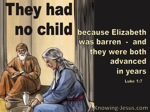 Luke 1:7 They Had No Child Because Elizabeth Was Barren (brown)