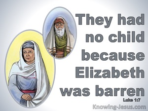 Luke 1:7 They Had No Child Because Elizabeth Was Barren (gray)