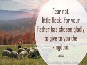 Luke 12:32 Do Not Be Afraid, Little Flock, For Your Father Has Chosen  Gladly To Give You The Kingdom.