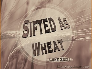 Luke 22:31 Satan Desires To Sift You As Wheat (brown)