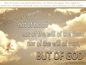 John 1:13 Not Born of Man's Will But Of God (beige)