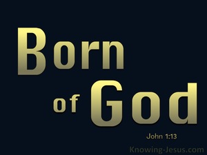 John 1:13 Not Born of Man's Will But Of God (gold)