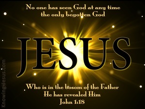 John 1:18 No One Seen God At Any Time (black)