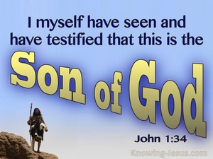 John 1:34 This Is The Son Of God (blue)