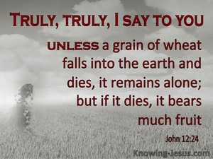 John 12:24 Unless A Grain Of Wheat Dies (gray)