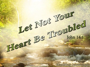John 14:1 Let Not Your Heart Be Troubled (sage)