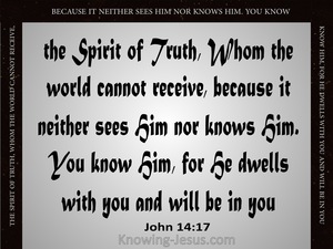 John 14:17 He Will Be In You (gray)