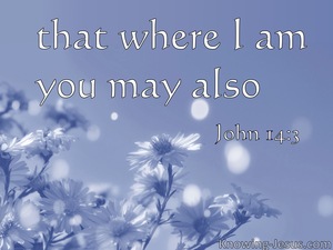 John 14:3 Where I Am Ye May Be Also (blue)