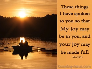 John 15:11 That Your Joy May Be Full (orange)