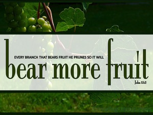 John 15:2 Every Branch That Bears Fruit (sage)