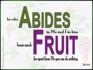 John 15:5 He Who Abide In Me Bears Much Fruit (white)