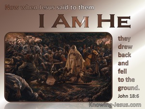 John 18:6 Jesus Said I Am He And They Drew Back (brown)