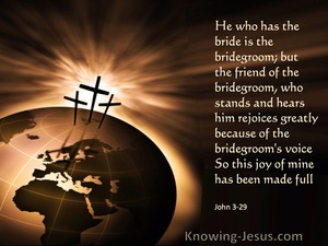 John 3:29 He Who Has The Bride Is The Bridegroom (brown)