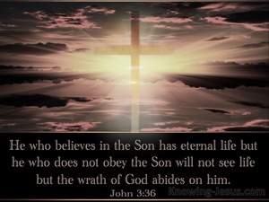 John 3:36 He Who Believes Has Eternal Life (black)