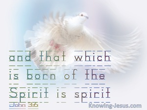 John 3:6 That Which Is Born Of The Flesh is Flesh (white) 