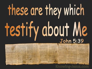 John 5:39 These Testify Of Me (brown)
