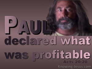 Acts  20-20 Paul Declared What Was Profitable (pink)