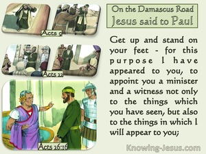 Acts 26:16 For This Purpose I Appointed You A Minister And Witness (green) 