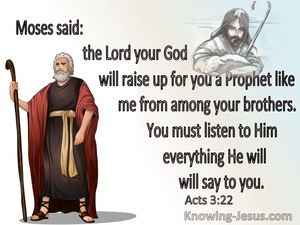 Acts 3:22 The Lord Will Raise Up A Prophet Like Me (brown)