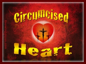 Colossians 2:11 Circumcised Heart (gold)