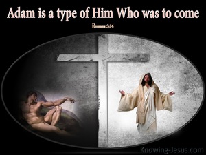 Romans 5:14 Adam Is A Type Of Christ (black)