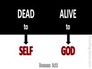 Romans 6:11 Alive Unto God (devotional)08:15 (black)