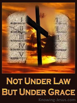 Romans 6:14 The Law Of Christ (devotional)09-21 (orange)