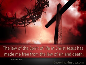 Romans 8:2 The Law Of The Spirit Of Life In Christ Jesus Has Made Me Free (windows)01:13