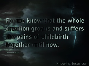 Romans 8:22 The Whole Creation Groans and Suffers (black)