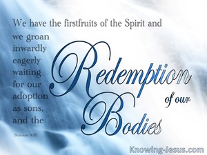 Romans 8:23 Waiting For The Redemption Of Our Bodies (blue)