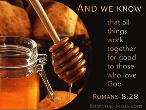 Romans 8:28 All Things Work Together For Good To Those Who Love God (utmost)12:18