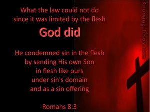 Romans 8:3 God Sent His Son (red)