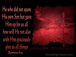 Romans 8:32 He Who Did Not Spare His Own Son (red)