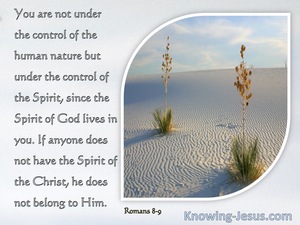 Romans 8:9 Are Controlled Not By The Sinful Nature But By The Spirit (silver)