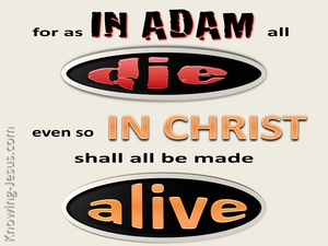 1 Corinthians 15:22 In Adam All Die, In Christ All Made Alive (beige)