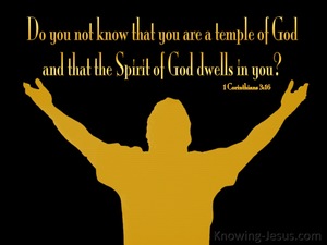 1 Corinthians 3:16 Temple Of The Holy Spirit (yellow)