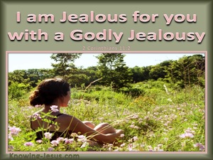 2 Corinthians 11:2 I am Jealous For Your WIth A Godly Jealousy (pink)